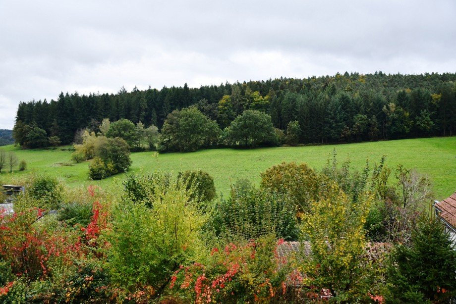herrlicher Blick vom Balkon Einfamilienhaus Mossautal/Unter-Mossau