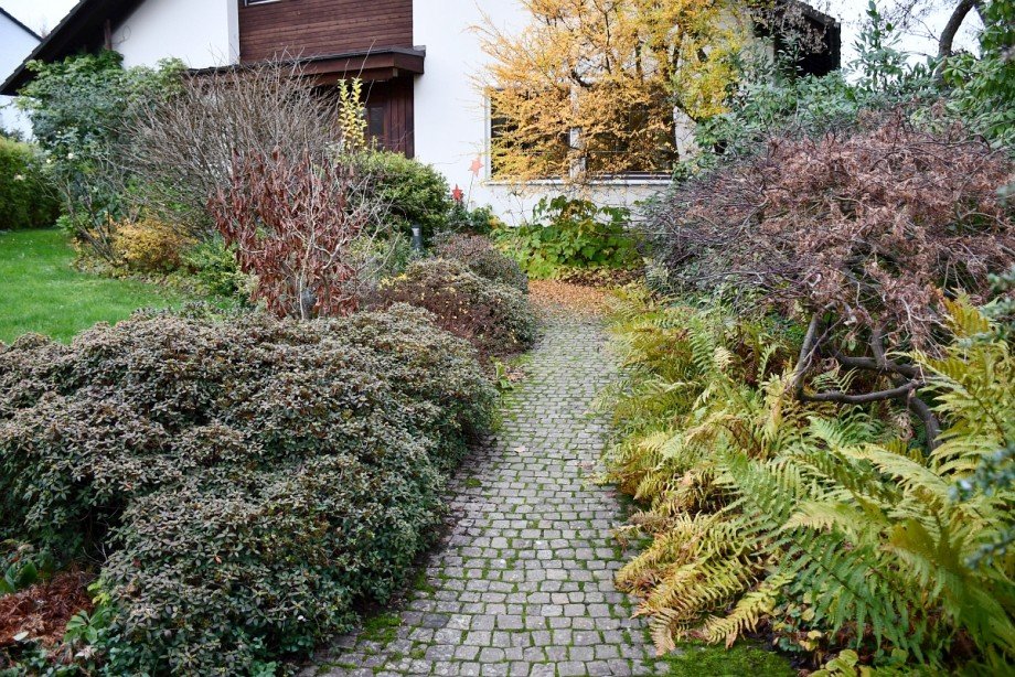 Zuweg zum Haus Einfamilienhaus Erbach