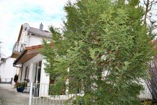 Hauptbild **VERKAUFT** Charmante gemütliche Doppelhaushälfte mit viel Wohnatmosphäre