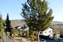 ... mit herrlichem Fernblick **VERKAUFT** �kologisch gebaute sehenswerte gro�z�gige sonnige Doppelhaush�lfte