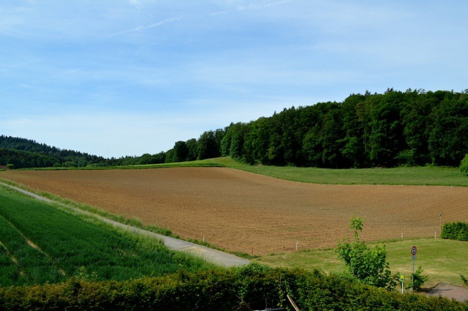 unverbaute Feldrandlage Zweifamilienhaus Gro�-Bieberau/Rodau