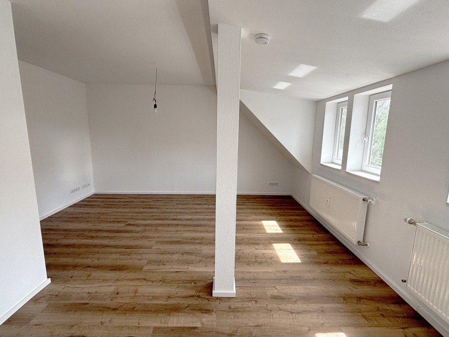 Wohnzimmer Dachgeschosswohnung Darmstadt