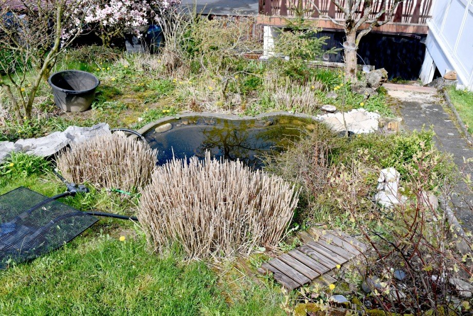 idyllisches Gartenbiotop Zweifamilienhaus Lautertal-Lautern