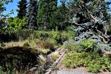 gro�es Gartengrundst�ck (weiter bebaubar) **VERKAUFT** Charmantes Einfamilienhaus mit Ausbau- und weiterem Bebauungspotenzial