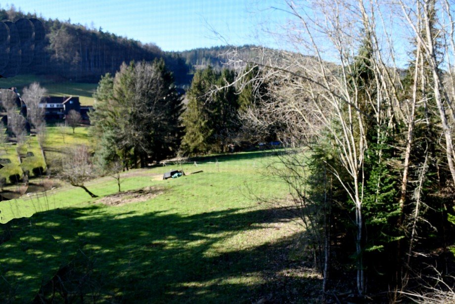 herrliche naturnahe Lage Zweifamilienhaus Mossautal/Unter-Mossau