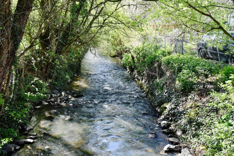 ... direkt am pl�tschernden Bachlauf Einfamilienhaus M�hltal/Nieder-Ramstadt