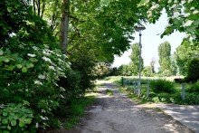 angenehme Wohnlage / Feldrandlage **VERKAUFT** Attraktive Kapitalanlage � freistehendes modernes Zweifamilienhaus