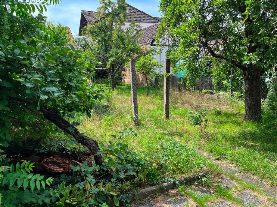 sch�ner Garten Einfamilienhaus Weiterstadt