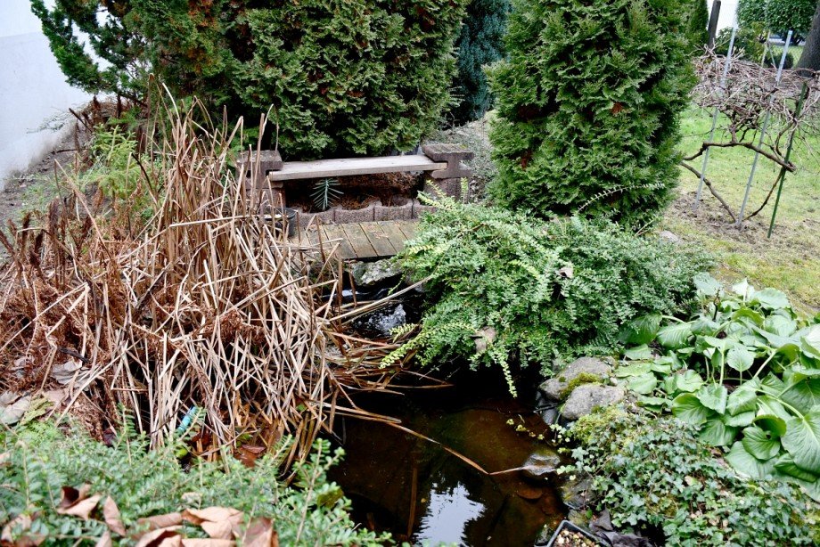 lauschiger Teich Doppelhaush�lfte Darmstadt-Wixhausen