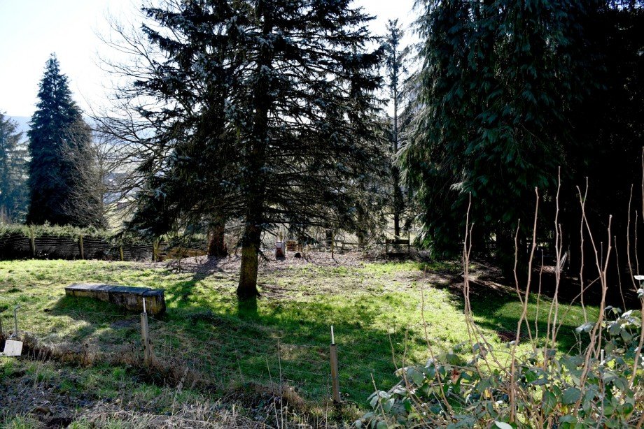 herrliches Grundst�ck Zweifamilienhaus Mossautal/Unter-Mossau