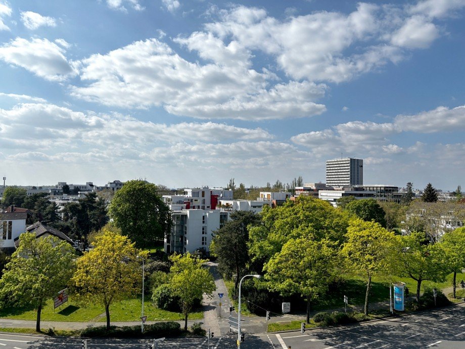Blick von der Terrasse Dachgeschosswohnung Darmstadt