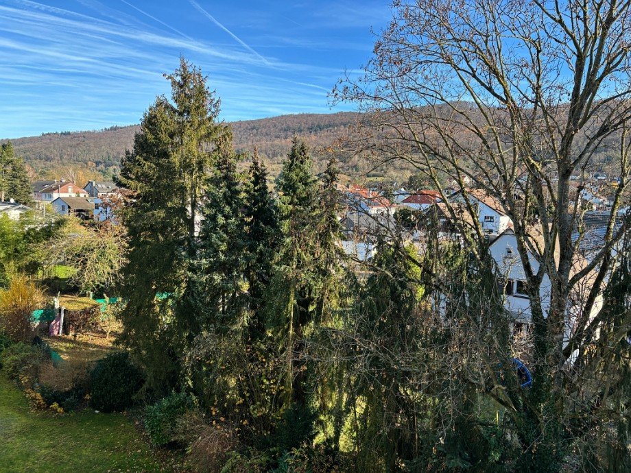 herrlicher Fernblick vom Balkon Etagenwohnung Seeheim-Jugenheim