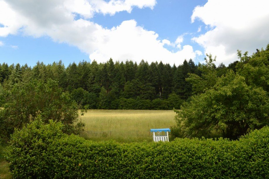 unverbaute Waldrandlage Einfamilienhaus Mossautal