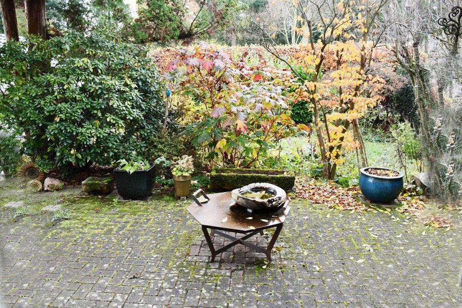 Sonnenterrasse Einfamilienhaus Darmstadt