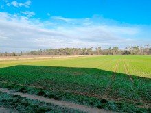 in toller Feldrandlage **VERMIETET** Repr�sentative lichtdurchflutete Wohnung in toller Feldrandlage