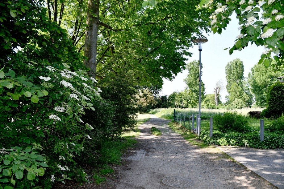 angenehme Wohnlage / Feldrandlage Zweifamilienhaus Darmstadt-Wixhausen