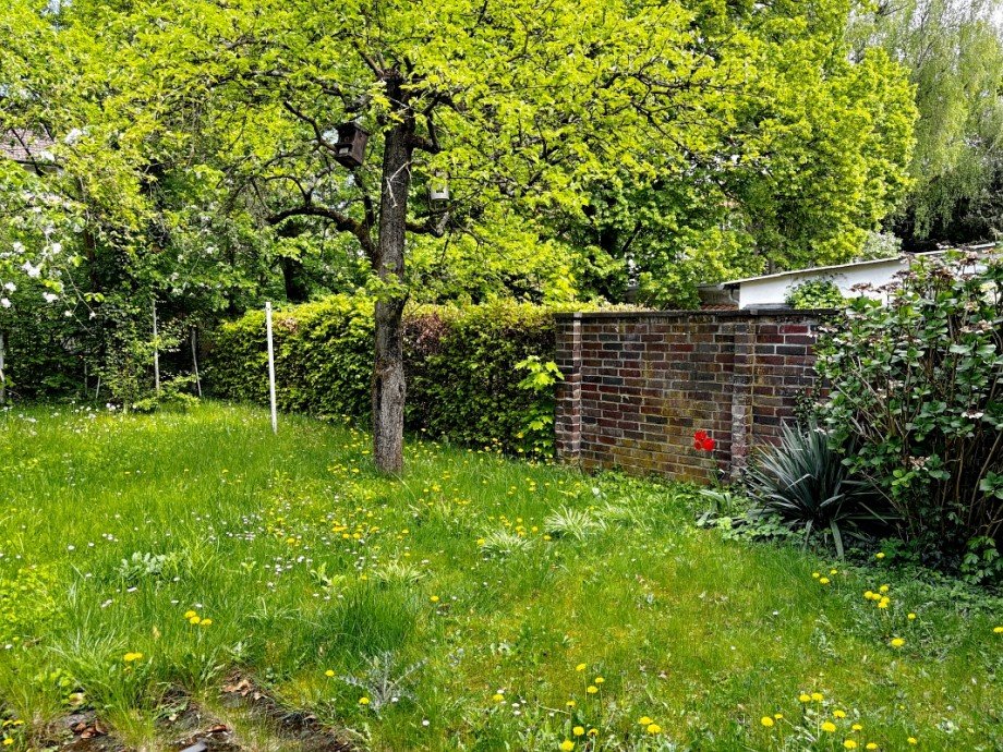 Gemeinschaftsgarten Dachgeschosswohnung Darmstadt