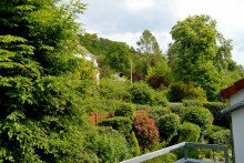 ... mit Blick ins Gr�ne **VERKAUFT** Kurviertel Auerbach! Hochwertige Maisonettewohnung der Extraklasse