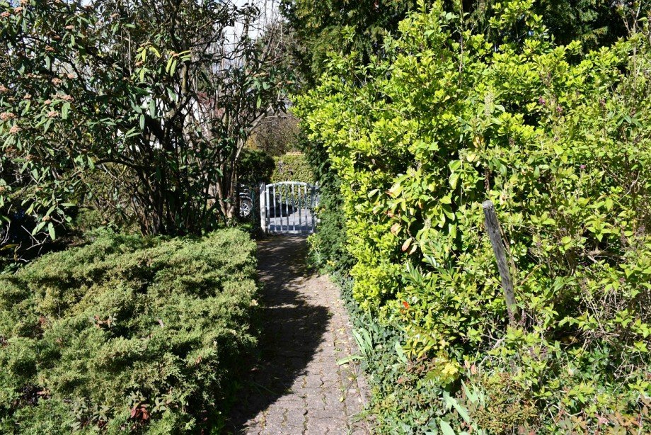 wertvoller Bewuchs Einfamilienhaus Seeheim-Jugenheim