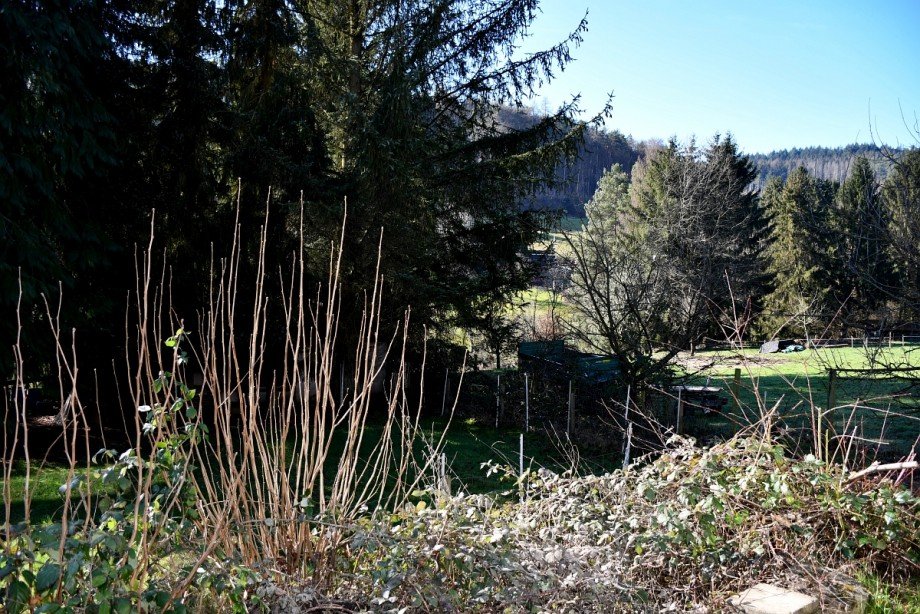 weitl�ufiges Grundst�ck Zweifamilienhaus Mossautal/Unter-Mossau