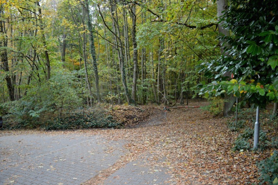 exponierte Wohnlage / Waldrandlage Haus M�hltal-Trautheim