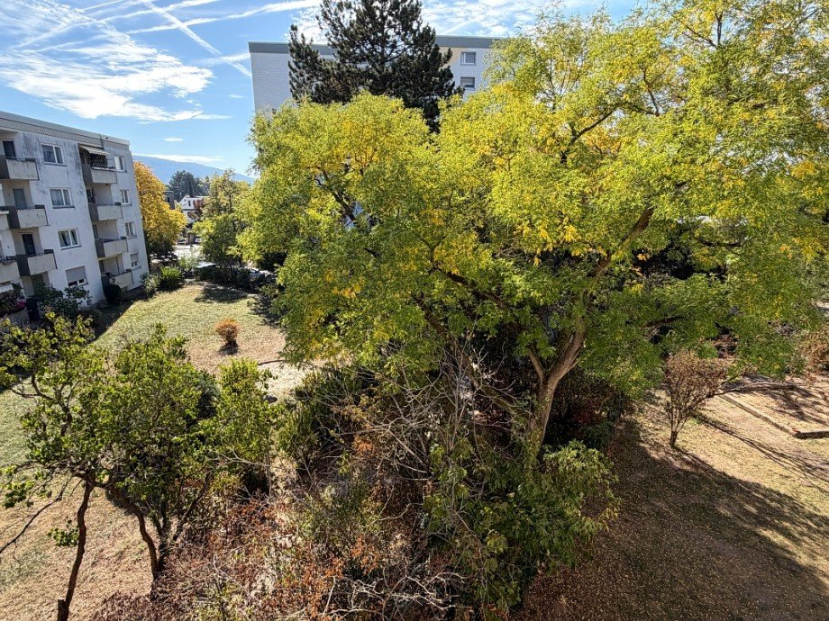 Blick vom Balkon Etagenwohnung Darmstadt-Eberstadt