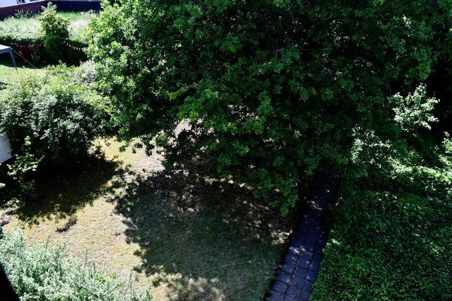 Blick in den Garten Einfamilienhaus Dieburg