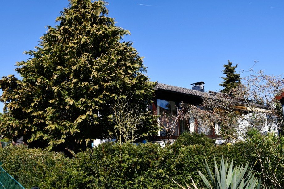 Hausansicht Gartenseite Einfamilienhaus B�ttelborn-Worfelden