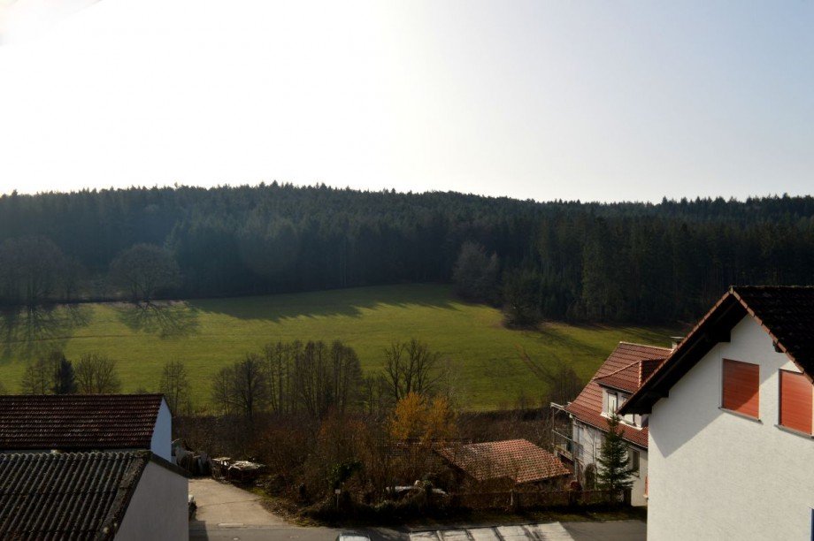 ... und herrlichem Fernblick Einfamilienhaus Mossautal
