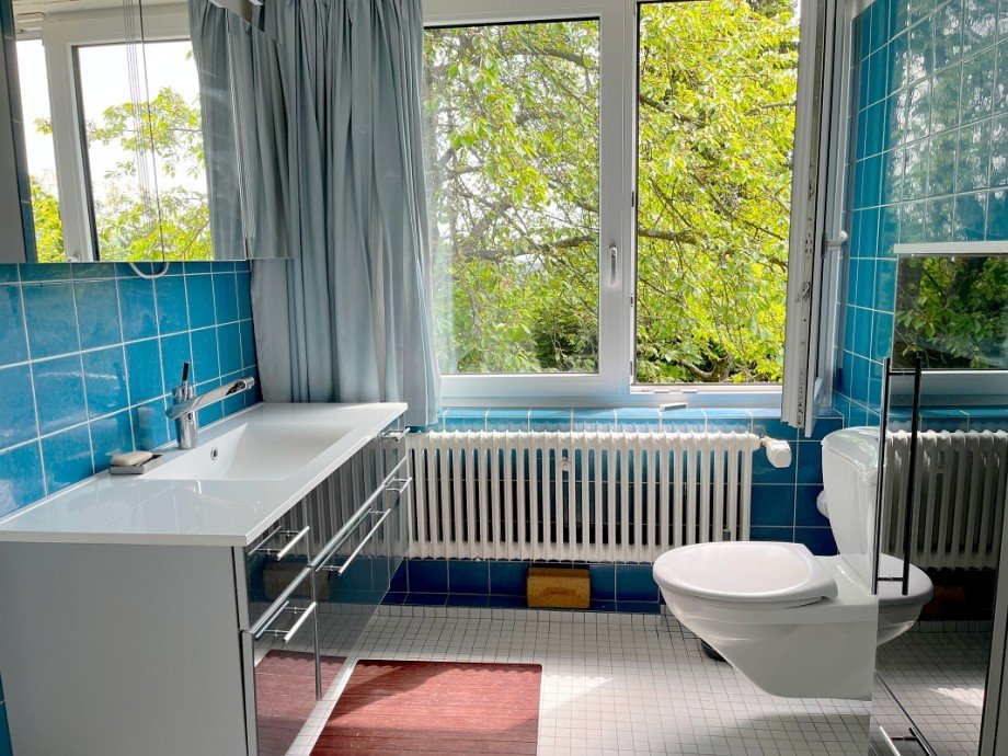 Tageslichtbad mit Wanne Einfamilienhaus Ro�dorf