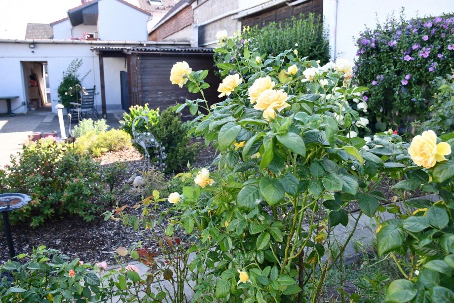 liebevoll angelegter Garten Einfamilienhaus Pfungstadt-Eich