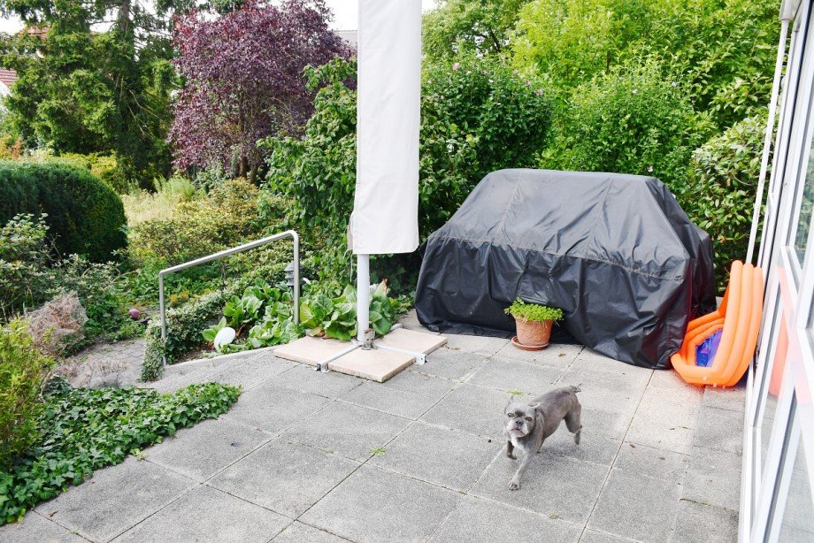 5 EG WHG2 Sonntenterrasse mit Gartenzugang Mehrfamilienhaus Darmstadt