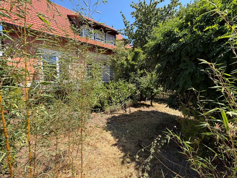 Garten Einfamilienhaus Babenhausen-Langstadt