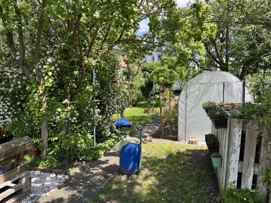 Gemeinschaftsgarten Erdgeschosswohnung Griesheim