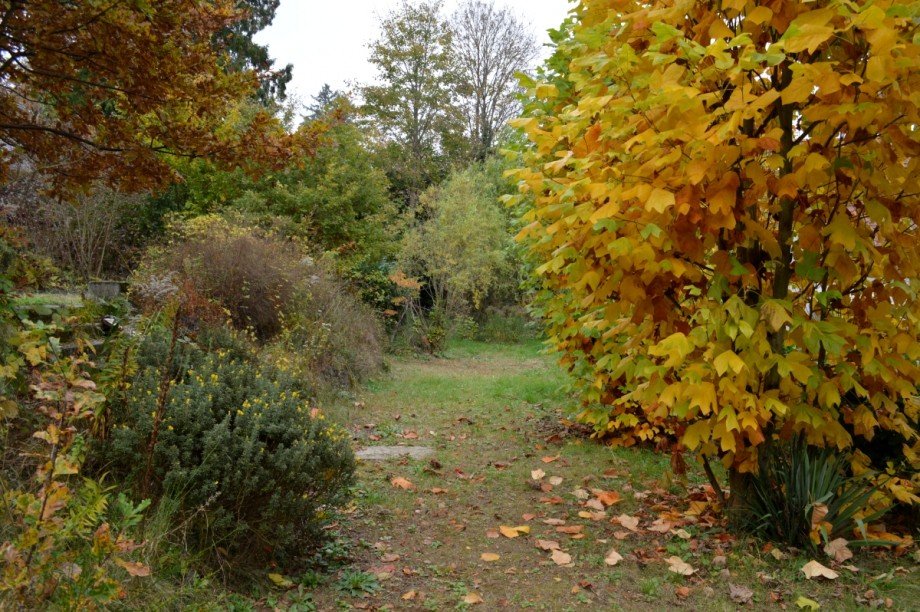 herrliches Gartengrundst�ck Haus M�hltal-Trautheim