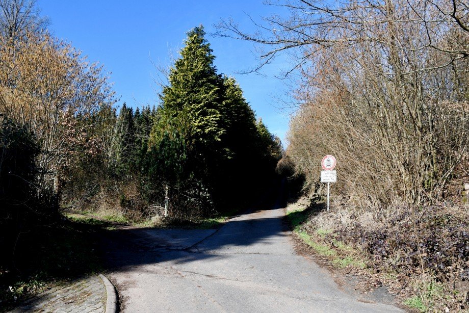 naturnahe ruhige Waldrandlage Zweifamilienhaus Mossautal/Unter-Mossau