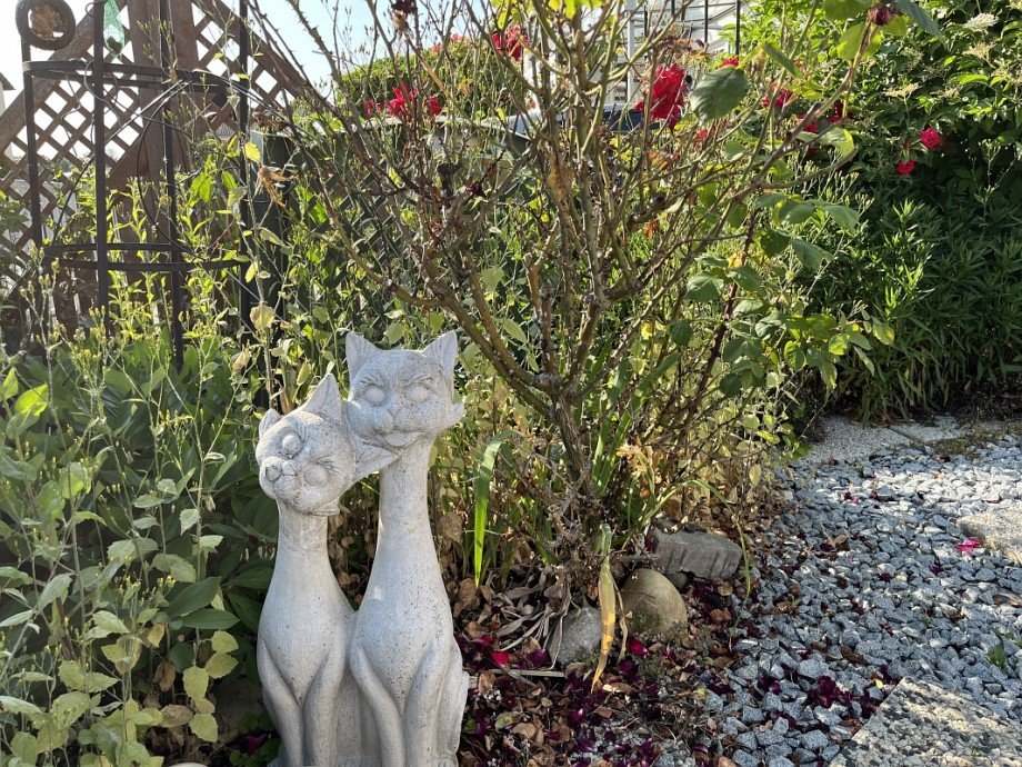 Gartenimpression Einfamilienhaus Riedstadt-Crumstadt