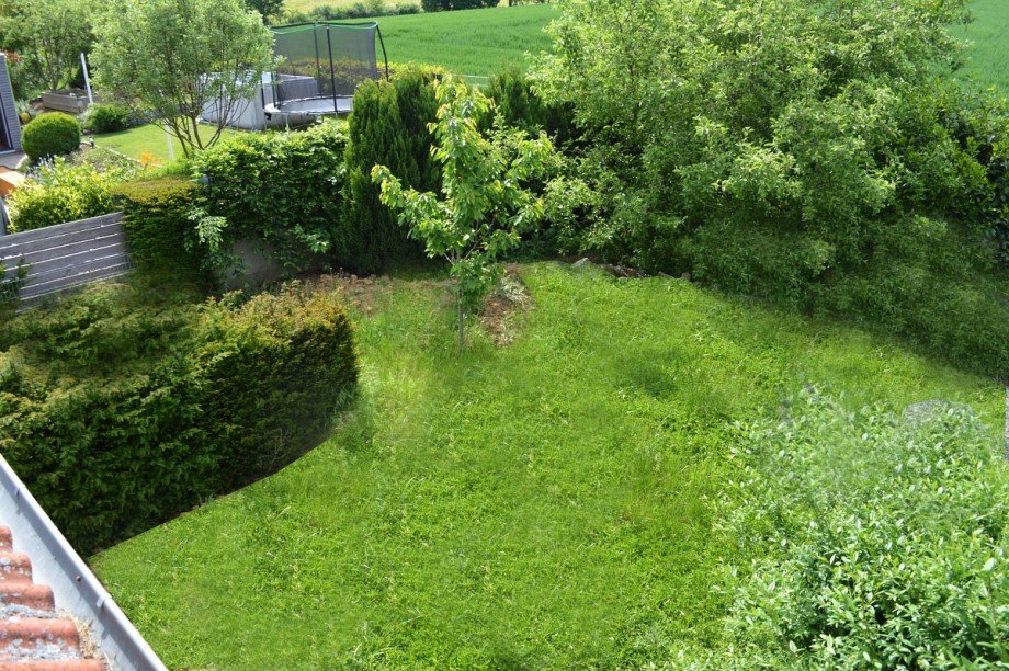 Blick in den Garten Zweifamilienhaus Gro�-Bieberau/Rodau