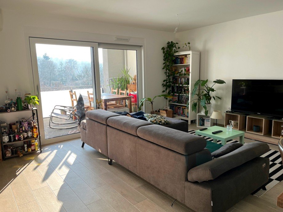 lichtdurchfluteter Wohnbereich Etagenwohnung Darmstadt
