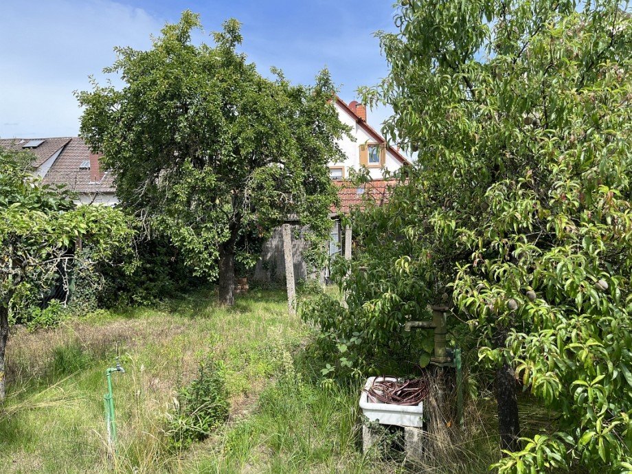Garten Einfamilienhaus Weiterstadt