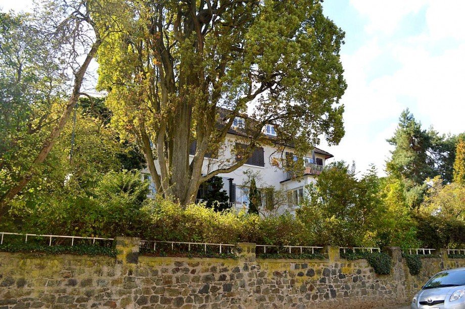 repr�sentatives Anwesen Mehrfamilienhaus Darmstadt