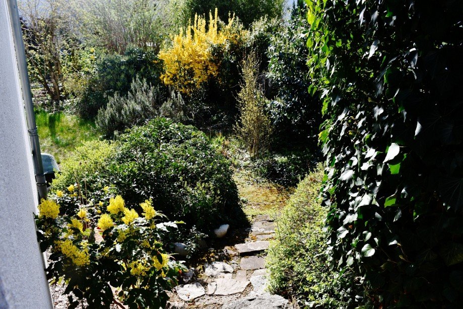 Gartenzugang Einfamilienhaus Seeheim-Jugenheim