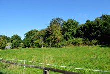 naturnahe Lage **VERKAUFT** Freistehendes Ein- bis Zweifamilienhaus - idyllisch Wohnen in Modautal-Asbach