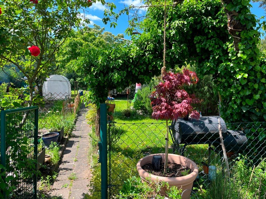 Gemeinschaftsgarten Erdgeschosswohnung Griesheim